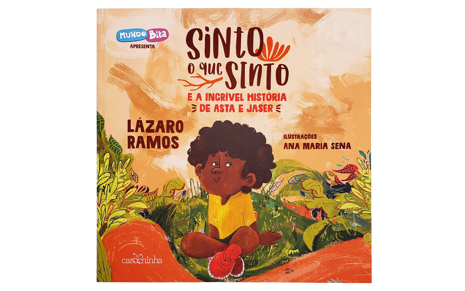 Capas de Livros Infantis – lilian og. // design gráfico